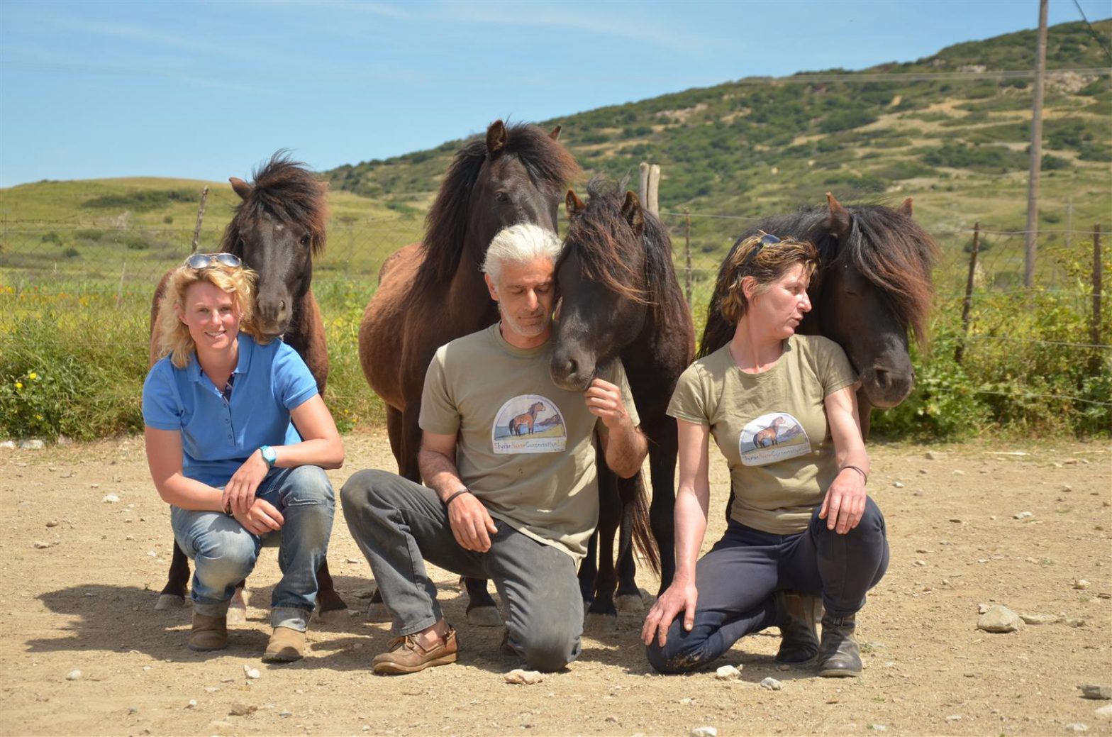 The Skyros Greek Island Horses